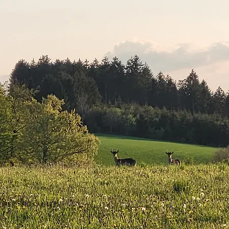 Nyaraló Le Belle Homme Gouvy